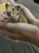 Людмила