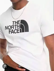 ФУТБОЛКА The North Faсe