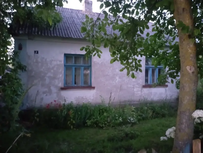 Дом в деревне