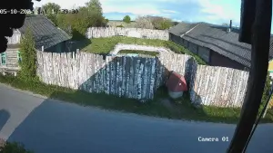 Дом