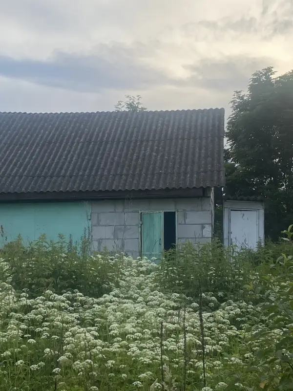 Продам дачу  деревня Докудово 1