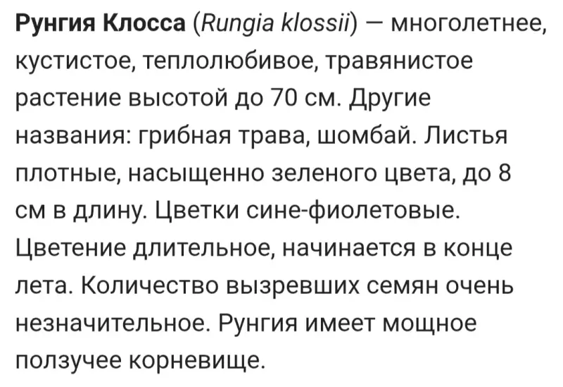 Готу Кола, Кулантра, Шиссо Перилла, Кан Куа. Травы витаминные.