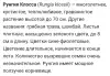 Готу Кола, Кулантра, Шиссо Перилла, Кан Куа. Травы витаминные.