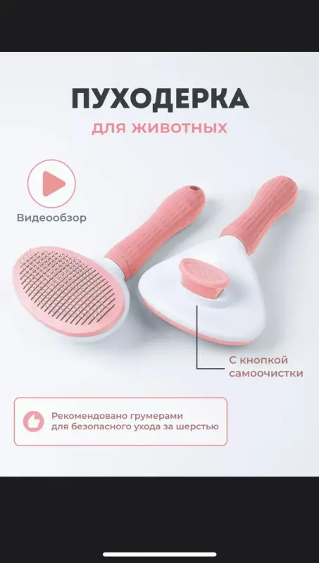 Шотландская кошечка