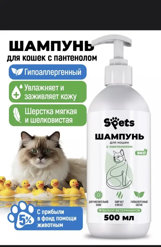 Шотландская кошечка