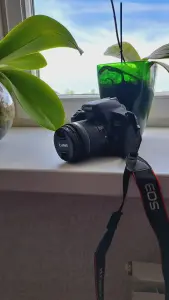 Фотоаппарат Canon EOS 800D