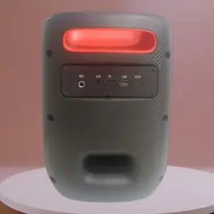 60W мощная колонка FUNK 6 с караоке и подсветкой