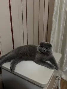 Вязка