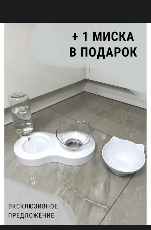 Шотландская кошечка