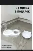 Шотландская кошечка