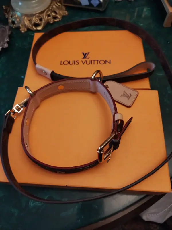 Ошейник LV Louis Vuitton с поводком