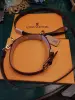 Ошейник LV Louis Vuitton с поводком