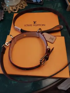Ошейник LV Louis Vuitton с поводком
