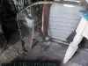 Москвич по запчастям