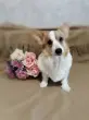 Ната