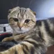 user_57134