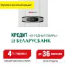 Газовый котёл BellaGas Premium 24 двухконтурный турбированный
