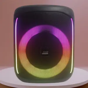 60W мощная колонка FUNK 6 с караоке и подсветкой