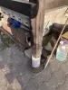 Терраса Навес для Авто
