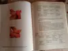 НОВЕЙШАЯ ЭНЦИКЛОПЕДИЯ ОЧИЩЕНИЕ ОРГАНИЗМА