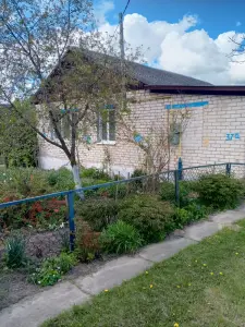 Дом а/г Горки Стародорожский район