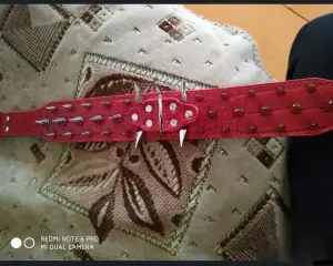 Ошейник для собак с шипами