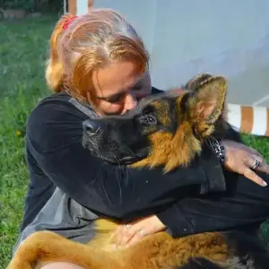 Бытовая дрессировка собак