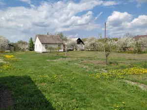 Продается жилой дом в Жабинке