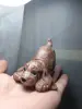Скульптура Спаниель