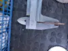 Пилы по дереву разные