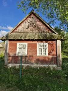 Дом в Налибокской пуще