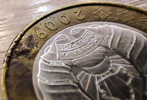 2 рубля 2009 РБ Двухстороннее вздутие плакировки