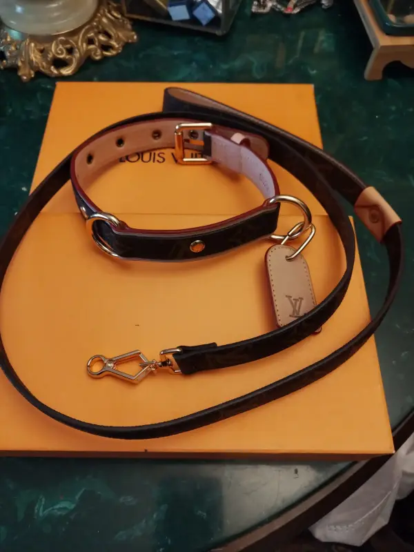 Ошейник LV Louis Vuitton с поводком