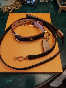 Ошейник LV Louis Vuitton с поводком