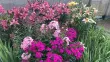 user_58450
