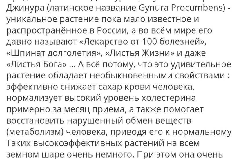 Готу Кола, Кулантра, Шиссо Перилла, Кан Куа. Травы витаминные.