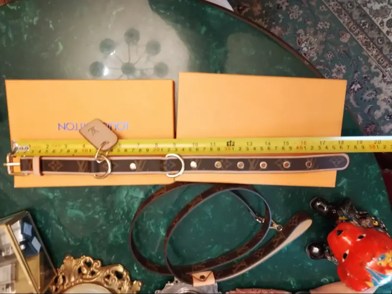 Ошейник LV Louis Vuitton с поводком