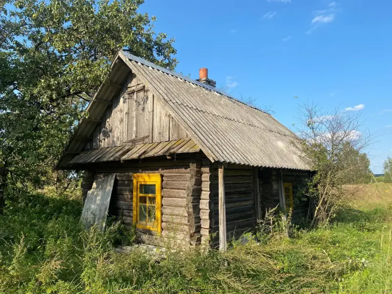 Дом в деревне Речки