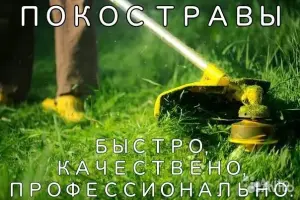 Покос травы триммером