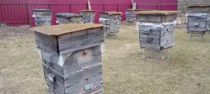 пчелиные домики, корпуса