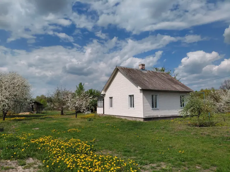 Продается жилой дом в Жабинке