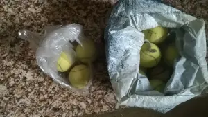 Мяч для большого тенниса 20 штук