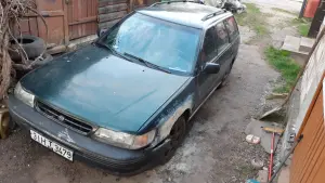 Субарулегаси1
