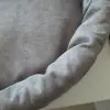 Лежанка