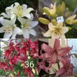 user_58605