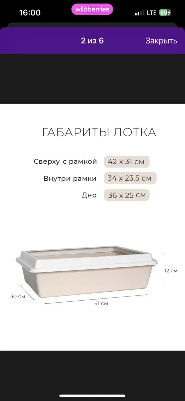 Шотландская кошечка