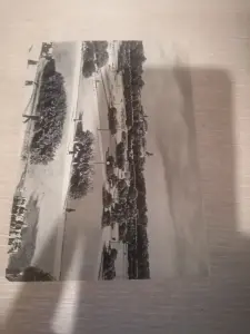 Открытки