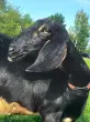 user_60766