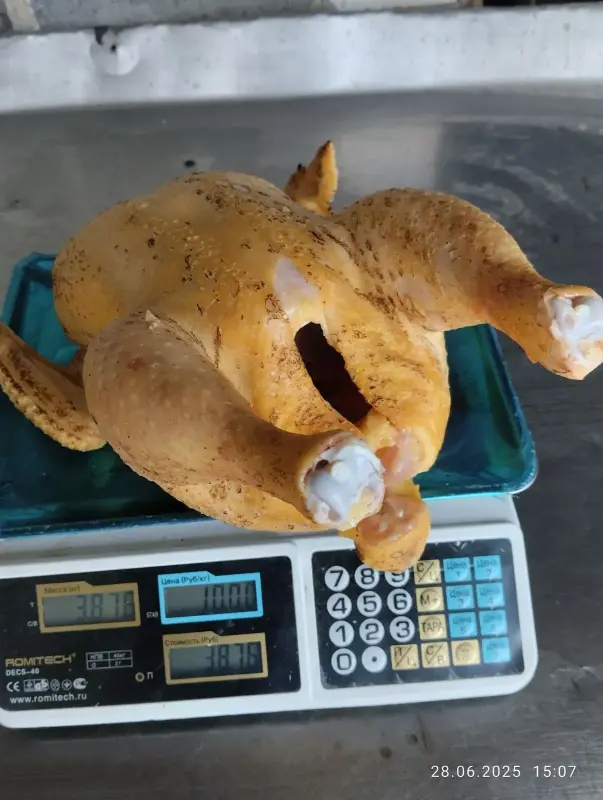 Бройлер Домашний Мясо