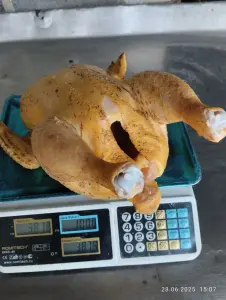 Бройлер Домашний Мясо